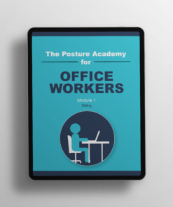 Posture Academy Office Work Sitting