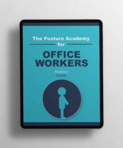 Posture Academy Office Work Standing