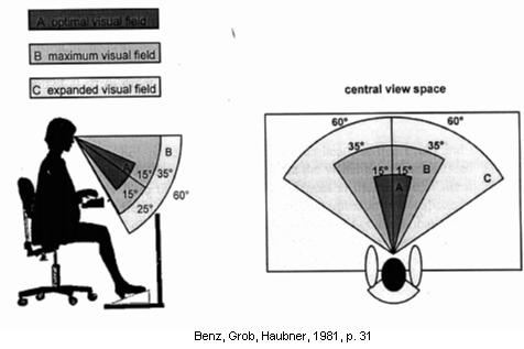 human visual field - ergonomics